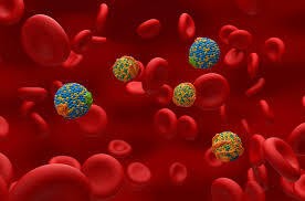 کلسترول بالا چه خطراتی به همراه دارد؟