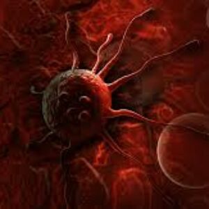 تنظیم استرس و پاسخ‌های فیزیولوژیک